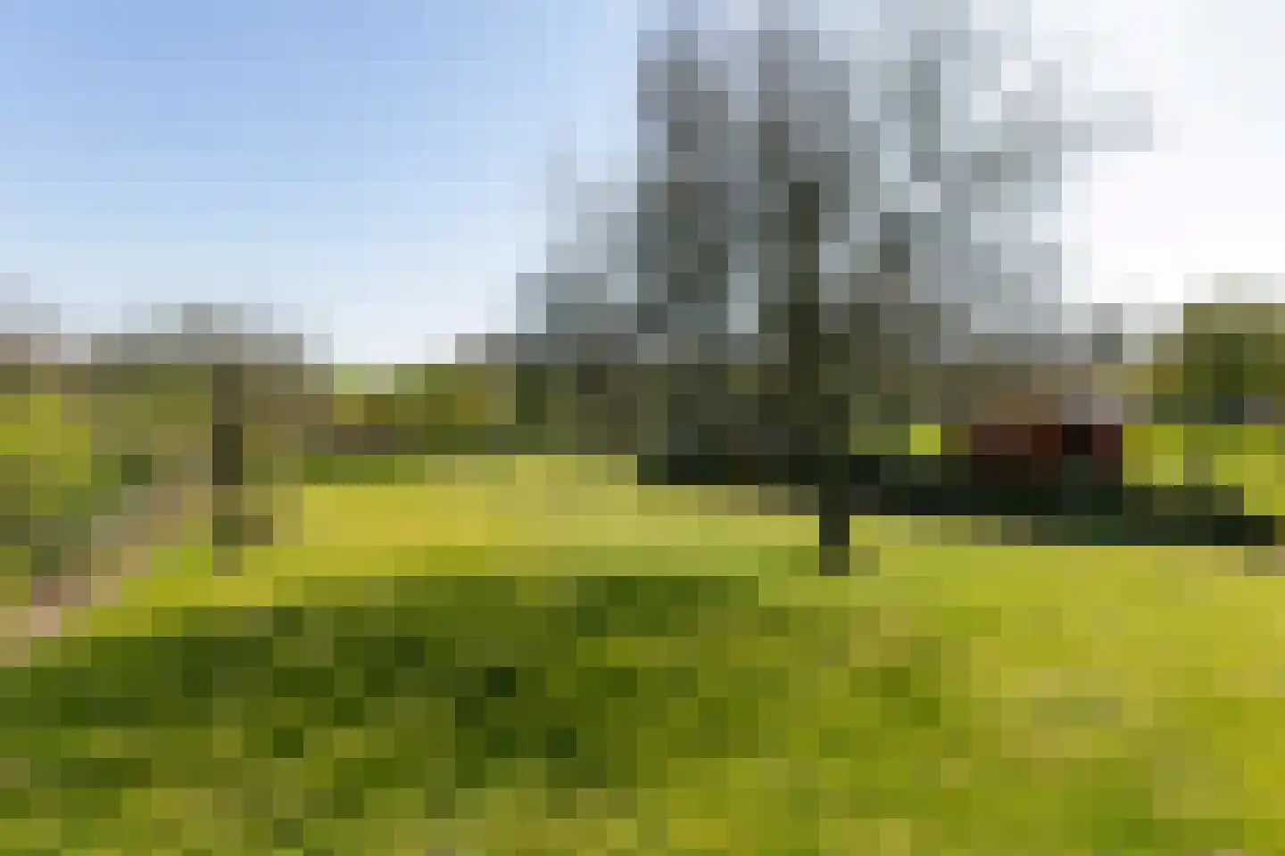 Hobbelrade 105 Spaubeek thumbnail 4