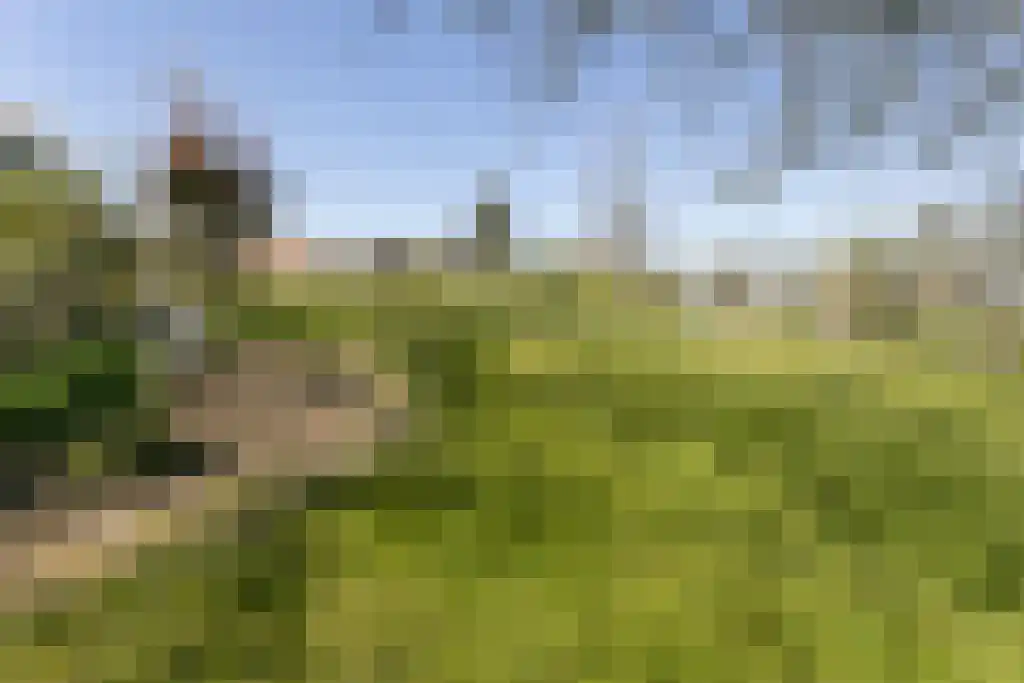 Hobbelrade 105 Spaubeek thumbnail 65