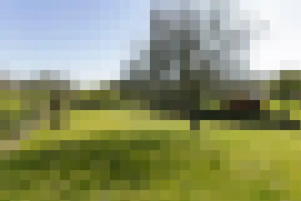 Hobbelrade 105 Spaubeek thumbnail 66