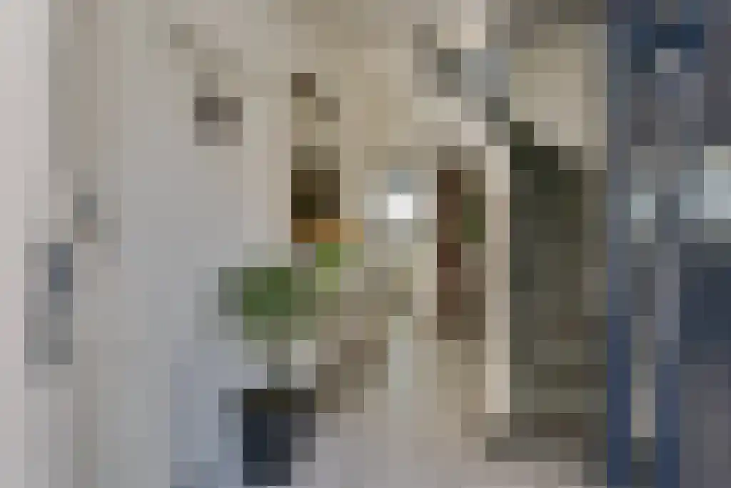 Hobbelrade 105 Spaubeek thumbnail 8