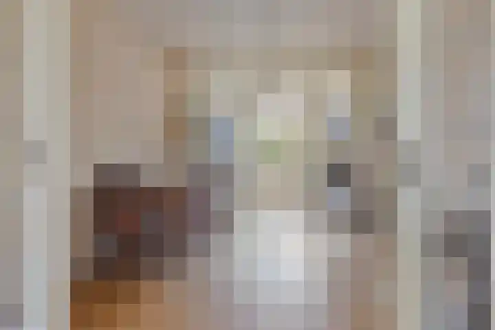 Hobbemakade 39 Zutphen thumbnail 10