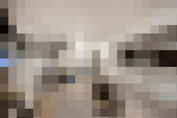 Hobbemakade 39 Zutphen thumbnail 20