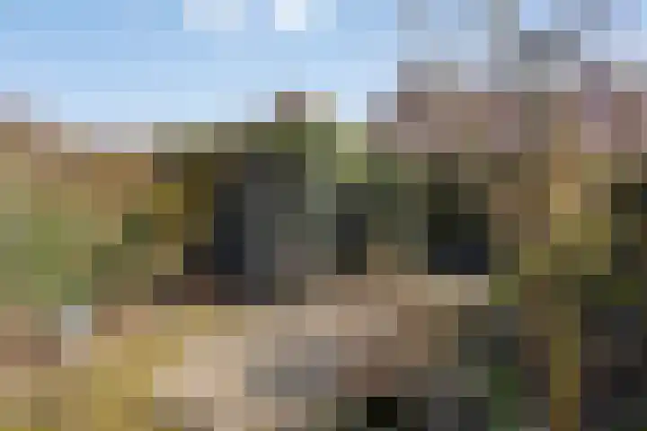 Hobbemakade 39 Zutphen thumbnail 34