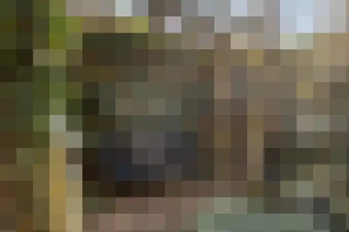 Hobbemakade 39 Zutphen thumbnail 35