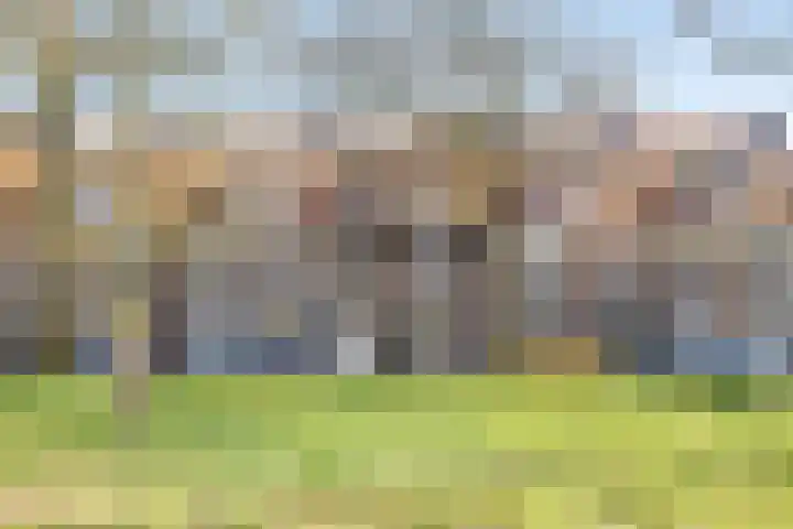 Hobbemakade 39 Zutphen thumbnail 37
