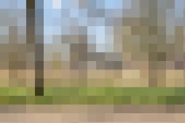 Hobbemakade 39 Zutphen thumbnail 38