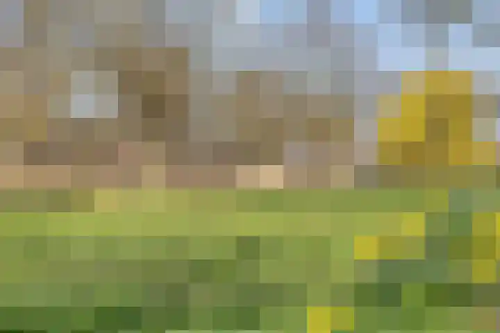 Hobbemakade 39 Zutphen thumbnail 40