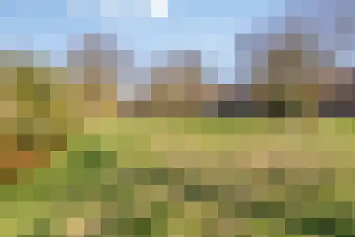 Hobbemakade 39 Zutphen thumbnail 41