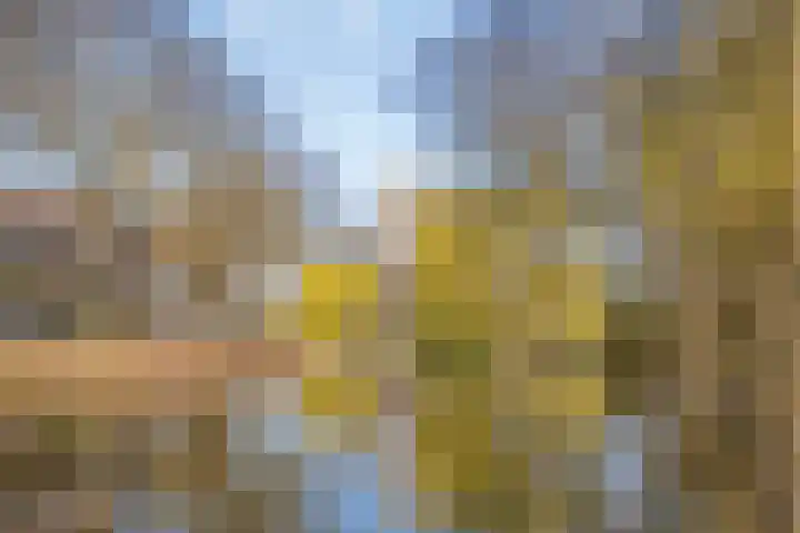 Hobbemakade 39 Zutphen thumbnail 42