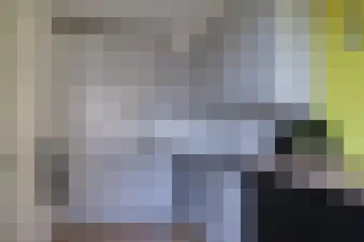 Hobbemakade 67 Zutphen thumbnail 13