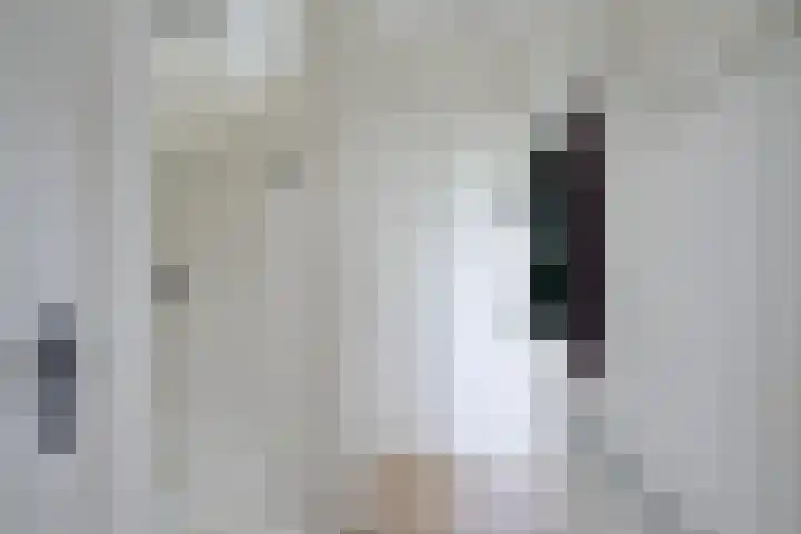 Hobbemakade 67 Zutphen thumbnail 22
