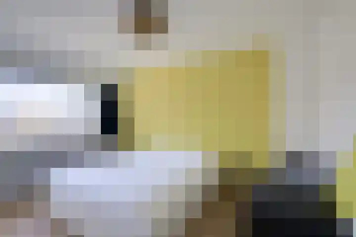 Hobbemakade 67 Zutphen thumbnail 24