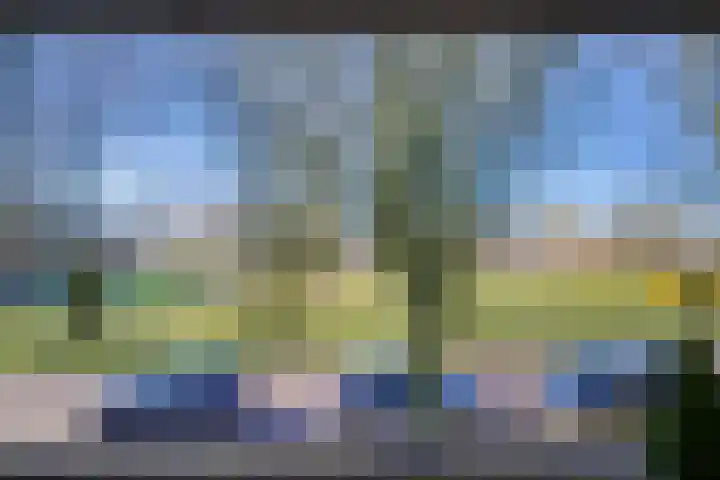 Hobbemakade 67 Zutphen thumbnail 28
