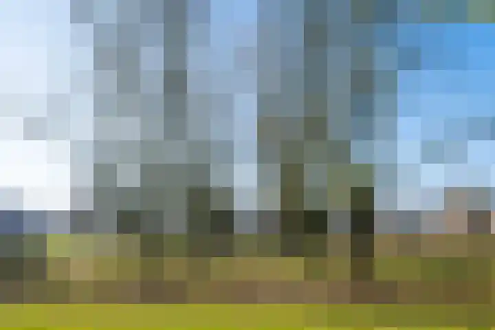 Hobbemakade 67 Zutphen thumbnail 42