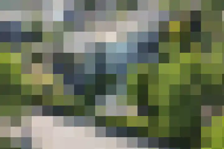 Hobbemalaan 22 Alkmaar