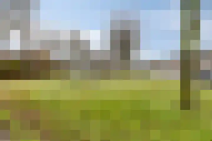 Hobbemalaan 45 Helmond thumbnail 38