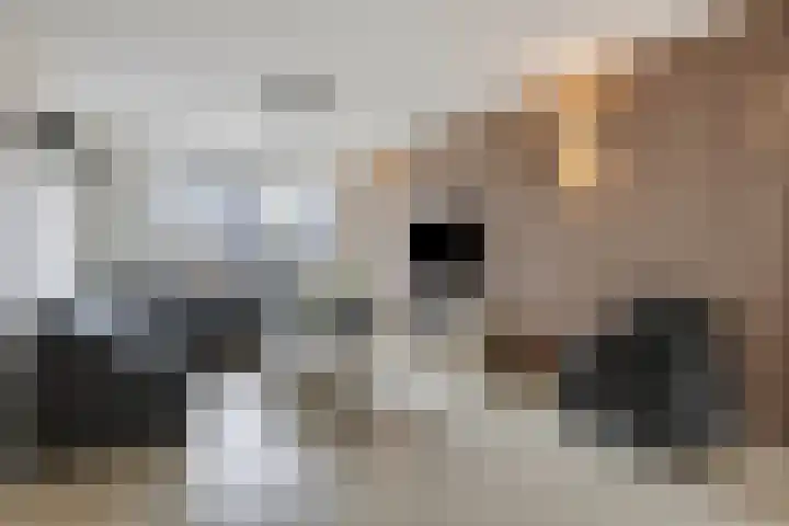Hobbemalaan 45 Helmond thumbnail 8