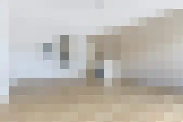 Hobbemalaan 48 Alkmaar thumbnail 18