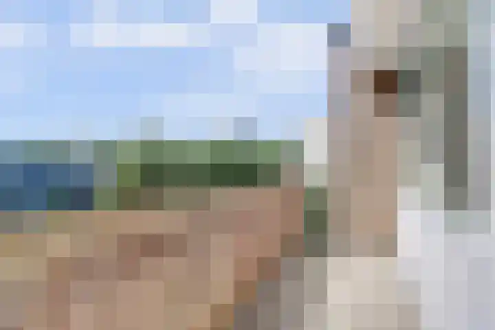Hobbemalaan 48 Alkmaar thumbnail 28