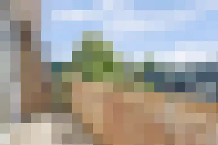 Hobbemalaan 48 Alkmaar thumbnail 29