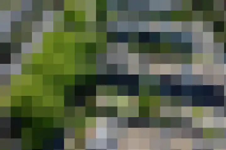 Hobbemalaan 48 Alkmaar thumbnail 4