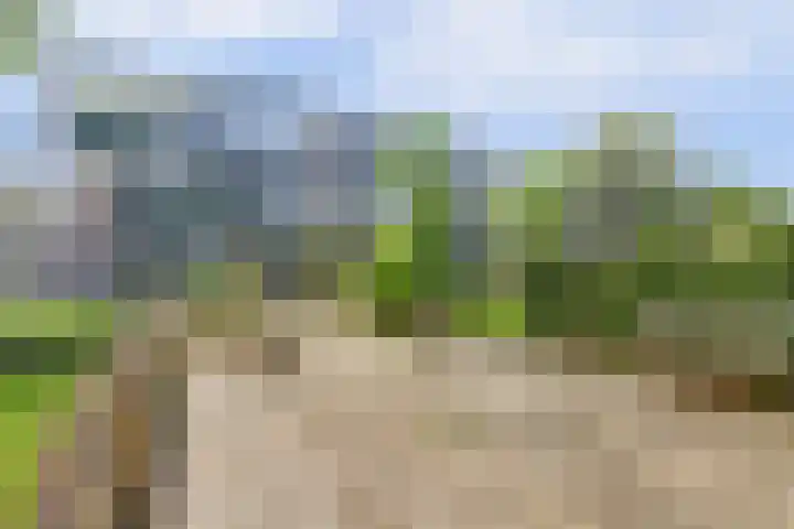 Hobbemalaan 48 Alkmaar thumbnail 40