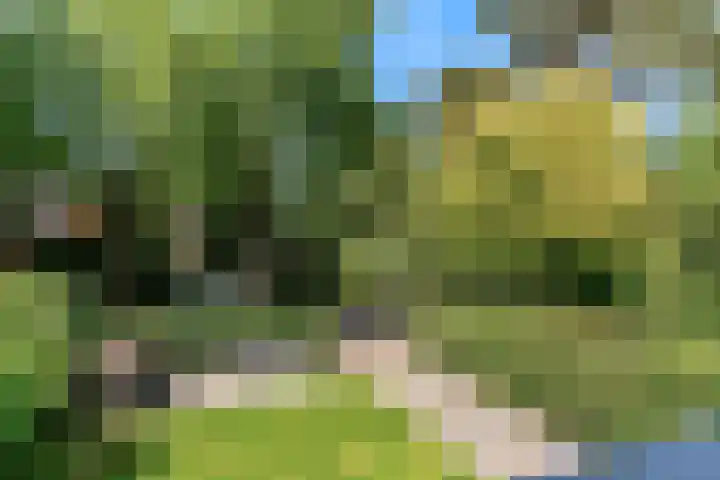 Hobbemalaan 53 Bilthoven thumbnail 33