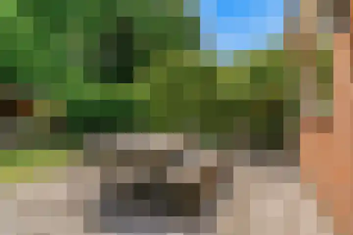 Hobbemalaan 53 Bilthoven thumbnail 40
