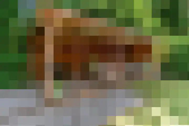 Hobbemalaan 53 Bilthoven thumbnail 43