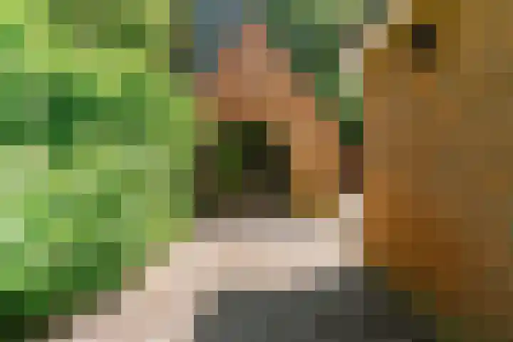 Hobbemalaan 53 Bilthoven thumbnail 45