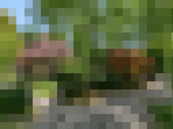 Hobbemalaan 53 Bilthoven thumbnail 47