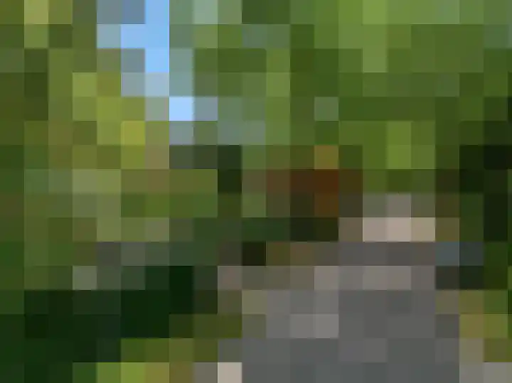 Hobbemalaan 53 Bilthoven thumbnail 48