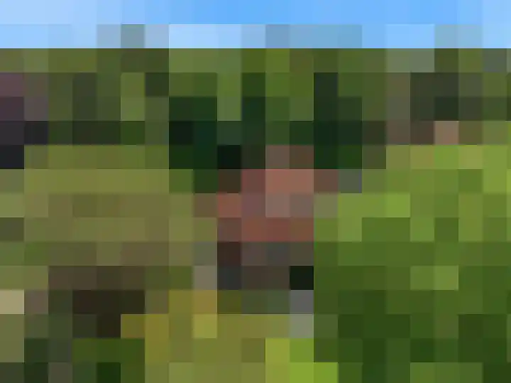 Hobbemalaan 53 Bilthoven thumbnail 49