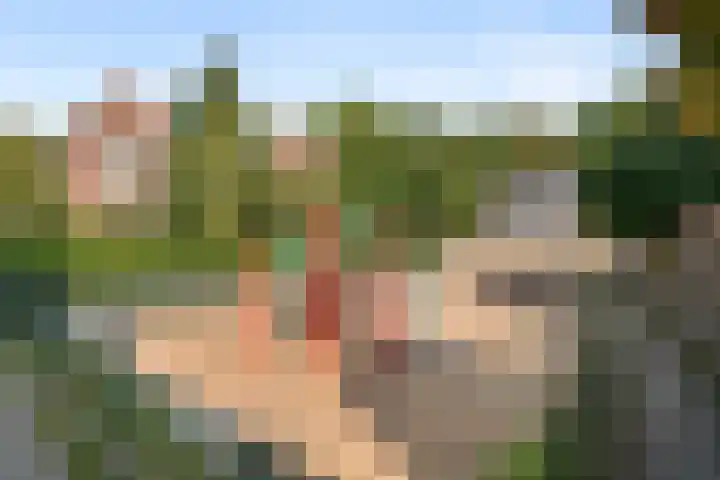 Hobbemastraat 32 Ede thumbnail 5