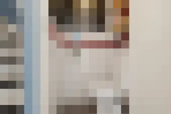 Hobbemastraat 6 Heemskerk thumbnail 12