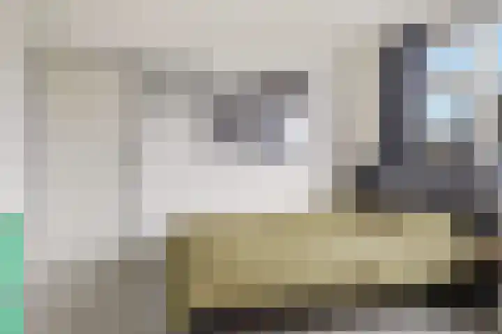 Hobbemastraat 6 Heemskerk thumbnail 17