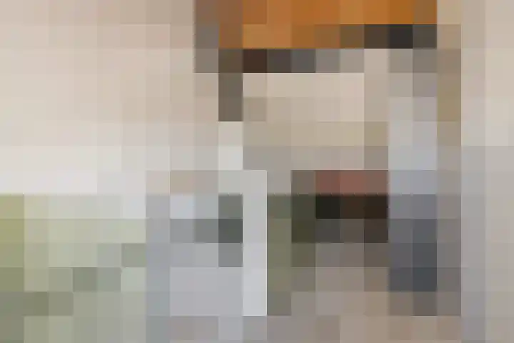 Hobbemastraat 6 Heemskerk thumbnail 23