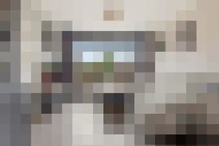 Hobbemastraat 6 Heemskerk thumbnail 5