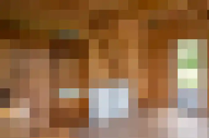Hobelmansdijk 7 a Halle thumbnail 22