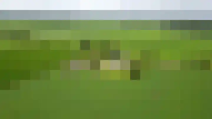 Hobelmansdijk 7 a Halle thumbnail 4
