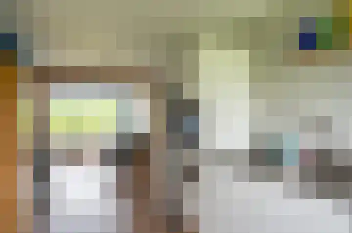 Hobelmansdijk 7 a Halle thumbnail 41