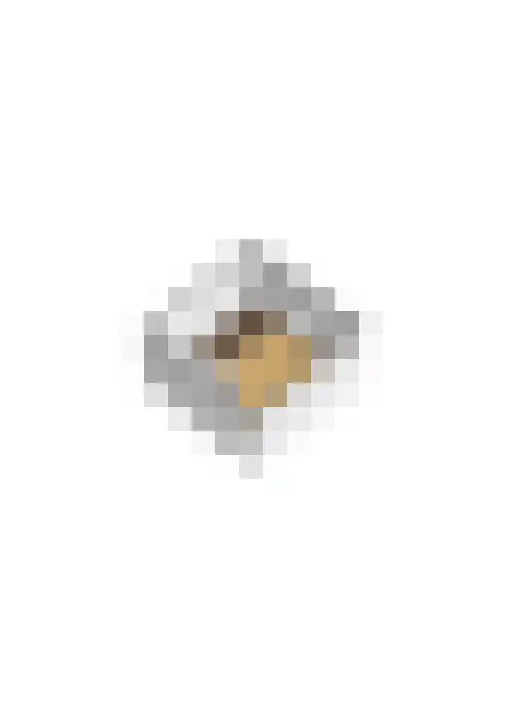 Hobelmansdijk 7 a Halle thumbnail 67