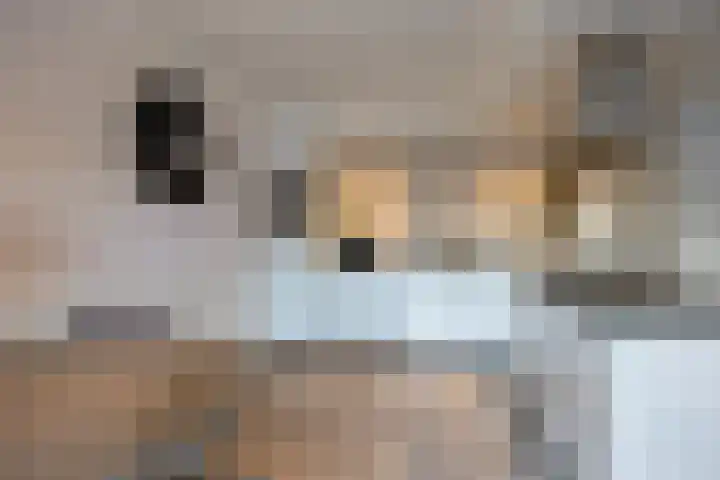 Hoeckenburg 3 Oss thumbnail 11