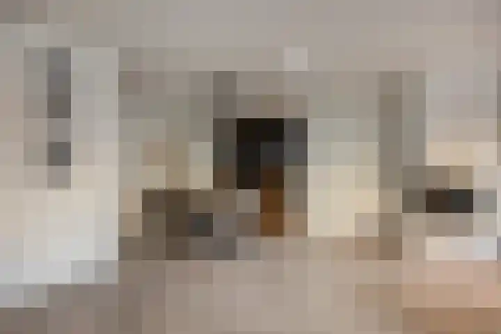 Hoeckenburg 3 Oss thumbnail 15