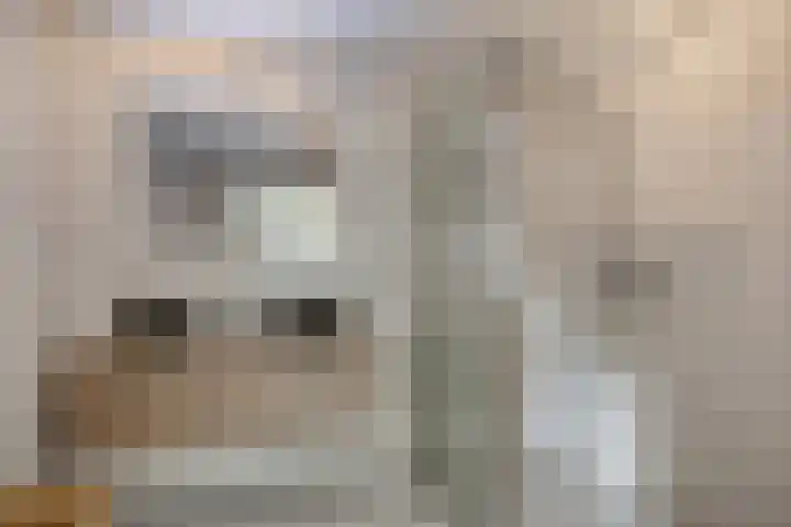 Hoeckenburg 3 Oss thumbnail 17