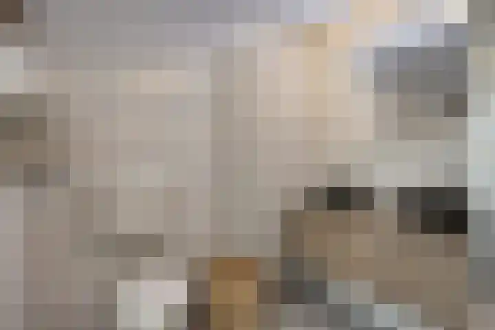 Hoeckenburg 3 Oss thumbnail 19