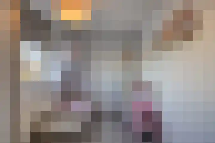 Hoeckenburg 3 Oss thumbnail 25