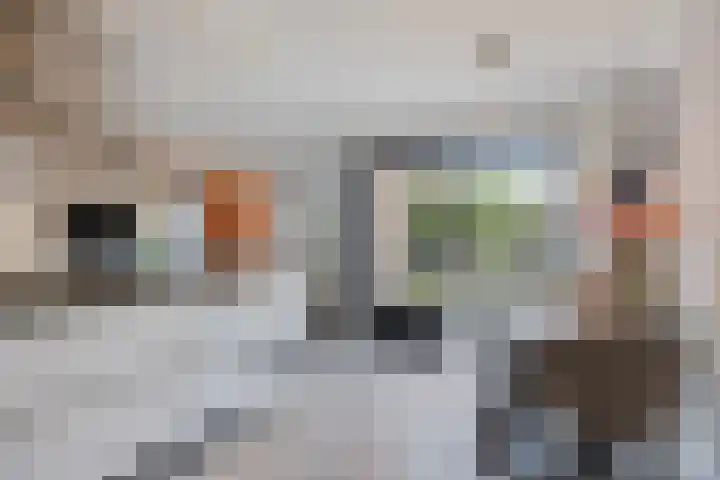 Hoeckenburg 3 Oss foto 3