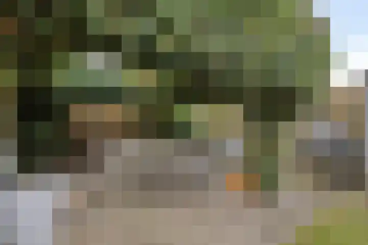 Hoeckenburg 3 Oss thumbnail 30
