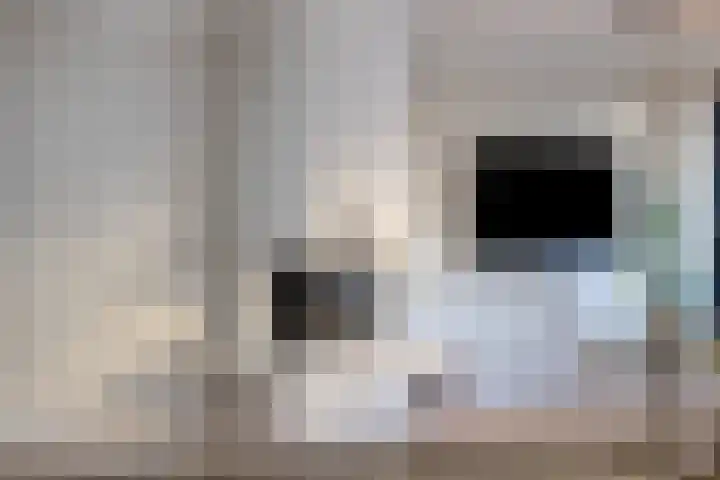 Hoeckenburg 3 Oss thumbnail 9